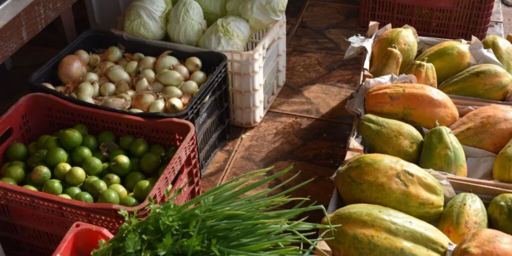 Do Campo ao Prato: A Força da Economia Local