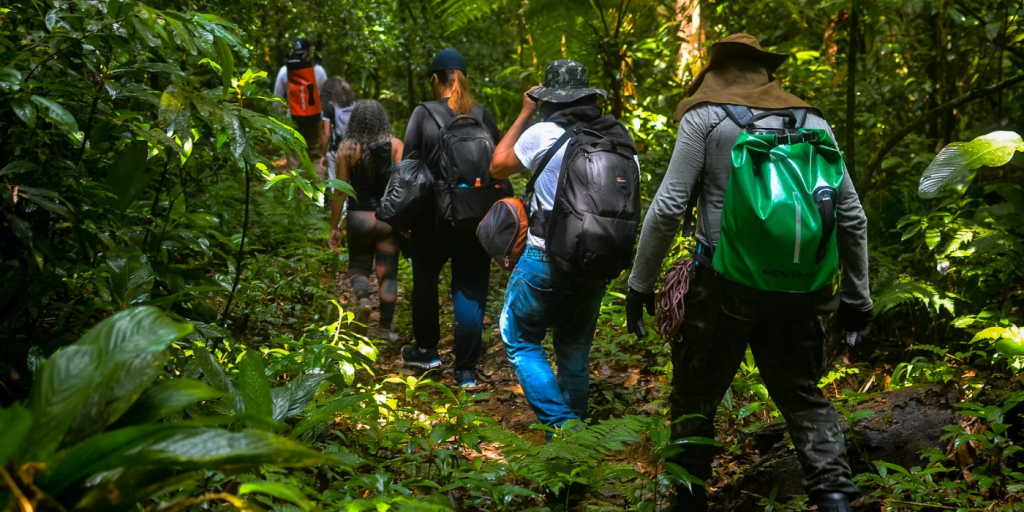 Natureza que Transforma: Experiências de Ecoturismo Imperdíveis em 2025