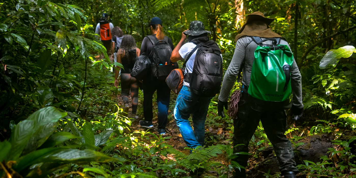 Natureza que Transforma: Experiências de Ecoturismo Imperdíveis em 2025