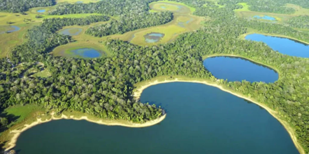 Pantanal: O Maior Santuário de Vida Selvagem da América do Sul