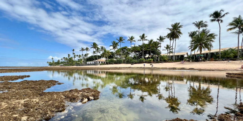 Praia do Forte – Natureza e Conforto a Poucos Quilômetros